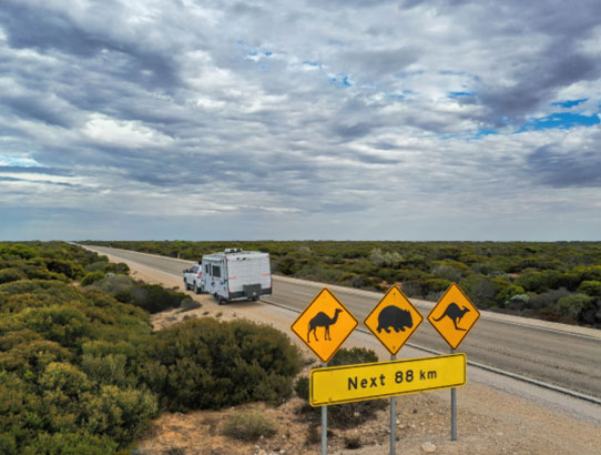 Talk to our specialists